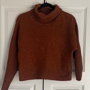 Rust Turtleneck Sweater